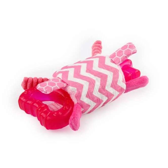 All for Paws Little Buddy Teething Key