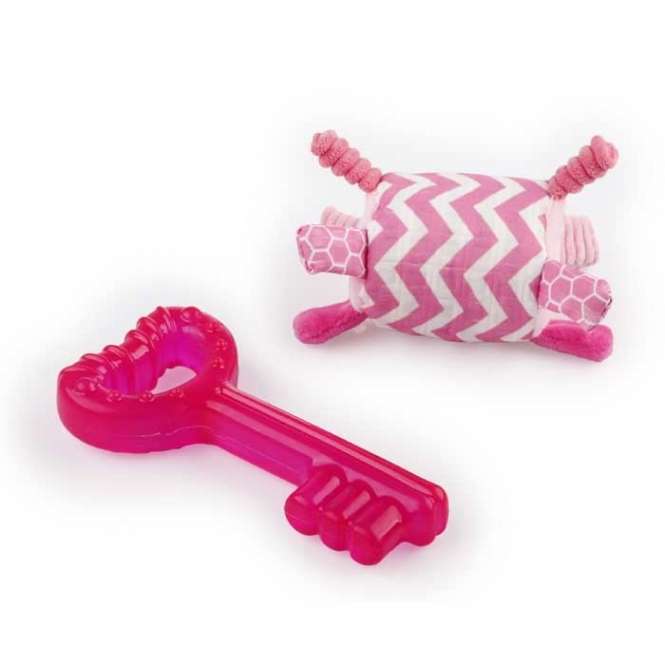 All for Paws Little Buddy Teething Key