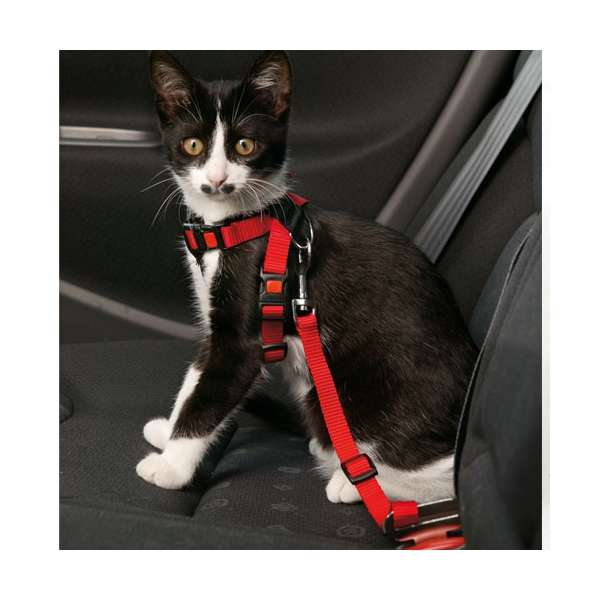 Karlie Auto - Sicherheitsgeschirr für Katzen