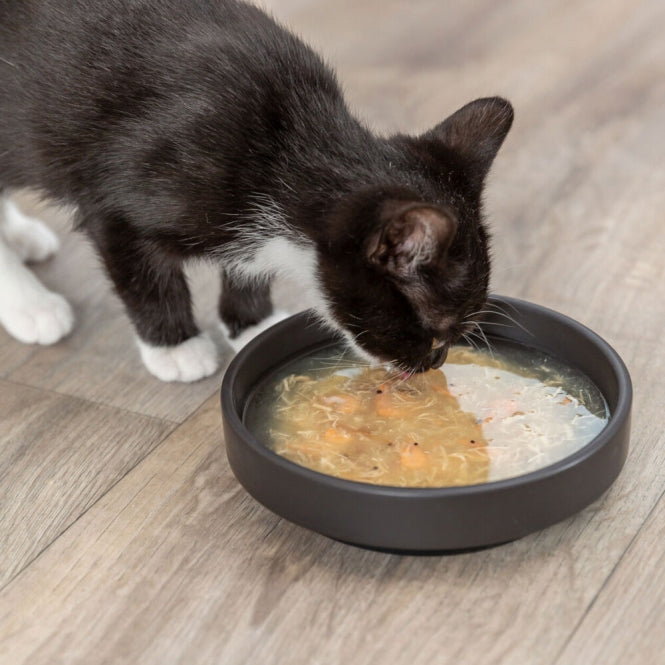 Trixie Kittis Salmon Soup