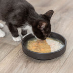 Trixie Kittis Shrimp Soup
