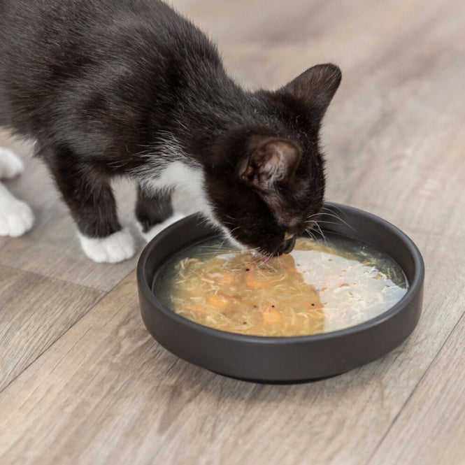 Trixie Kittis Shrimp Soup