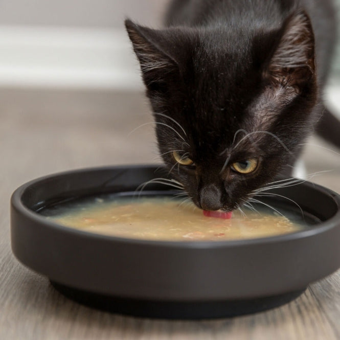 Trixie Kittis Shrimp Soup