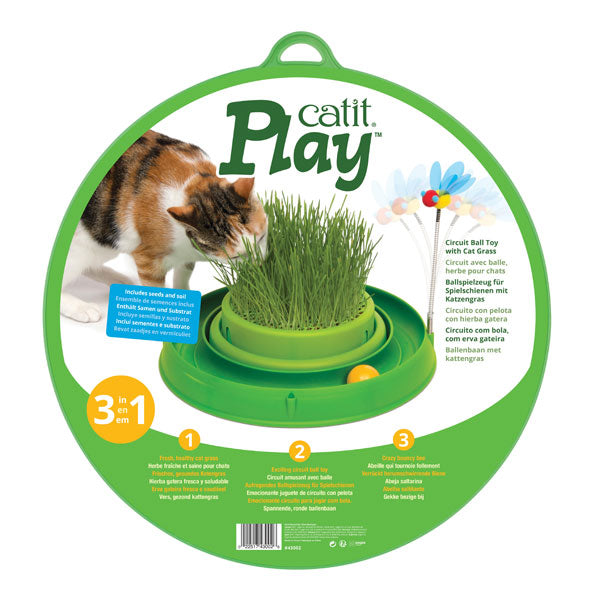 CATIT Play n Scratch mit Grasgarten