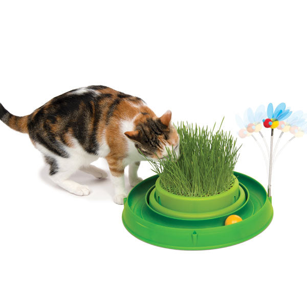 CATIT Play n Scratch mit Grasgarten