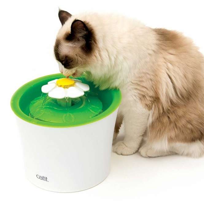 Catit Senses 2.0 - Blumentrinkbrunnen