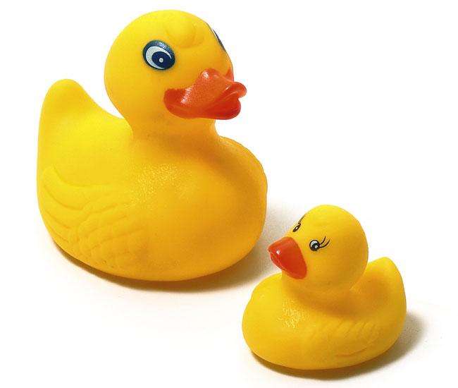 Karlie Vinyl – Ente