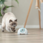 Trixie Katzenspielzeug CATCH ME mit Motor / Fernbedienung
