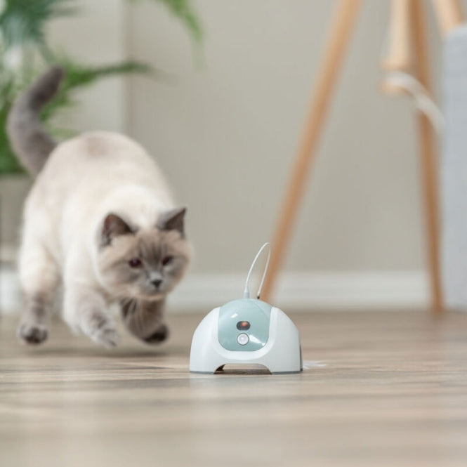 Trixie Katzenspielzeug CATCH ME mit Motor / Fernbedienung