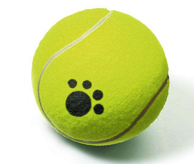 Karlie Tennisball