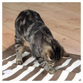 Trixie Cat Activity Pföteldecke