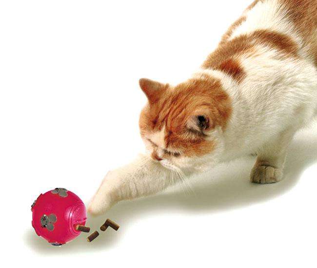 Karlie SNACK - BALL für Katzen