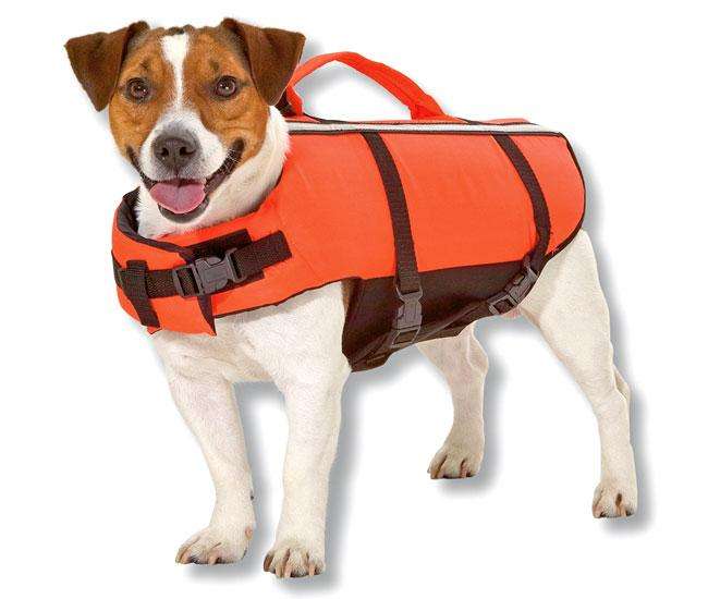 Kerbl Hunde Schwimmweste