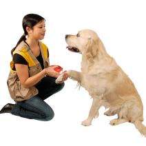 Karlie Doggy Coach - 3 in 1