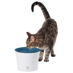 CATIT Trinkbrunnen