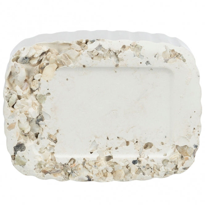 Trixie Pickstein mit Muscheln