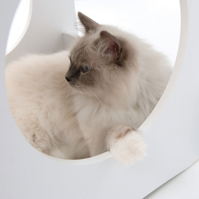 Vesper Katzenhaus Condo