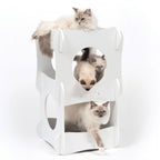 Vesper Katzenhaus Condo