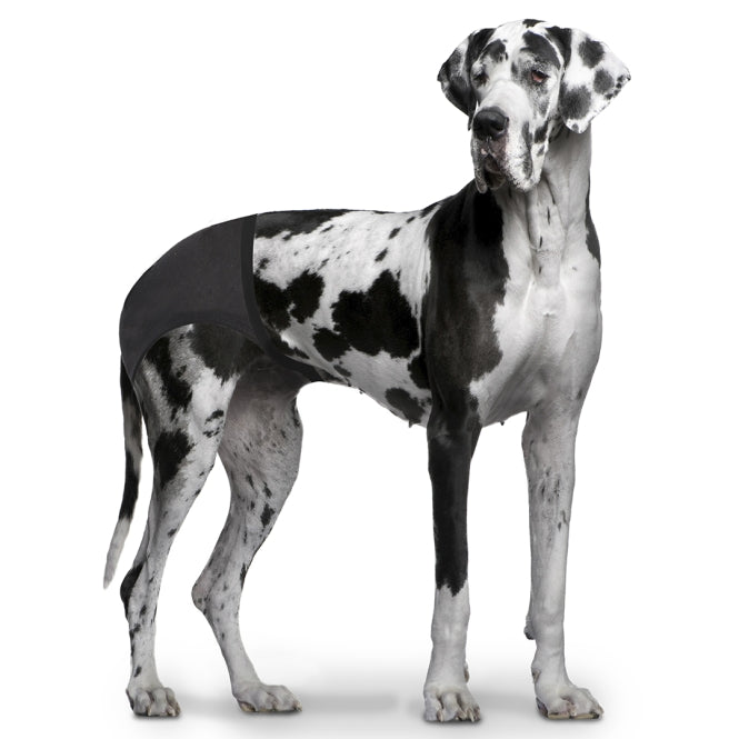 Duvoplus Schutzhöschen