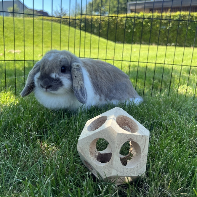 Holz Spielball