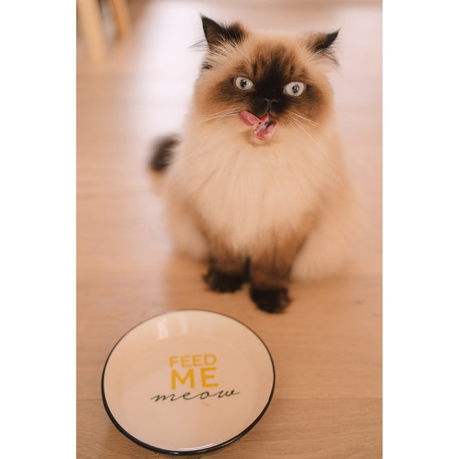 Duvoplus Katzennapf Stone Feed Me Meow
