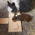 Sniffle n Snack Puzzle Dan