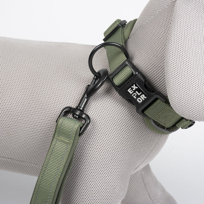 Duvoplus EXPLOR Ultimate Fit Control Halsband Classic