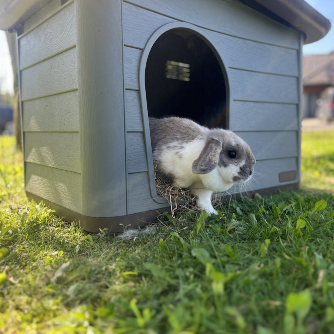Duvoplus Tierhaus Pepita Eco in Grün für Katzen im Garten