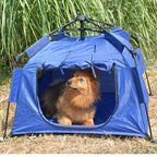 Duvoplus Hundezelt