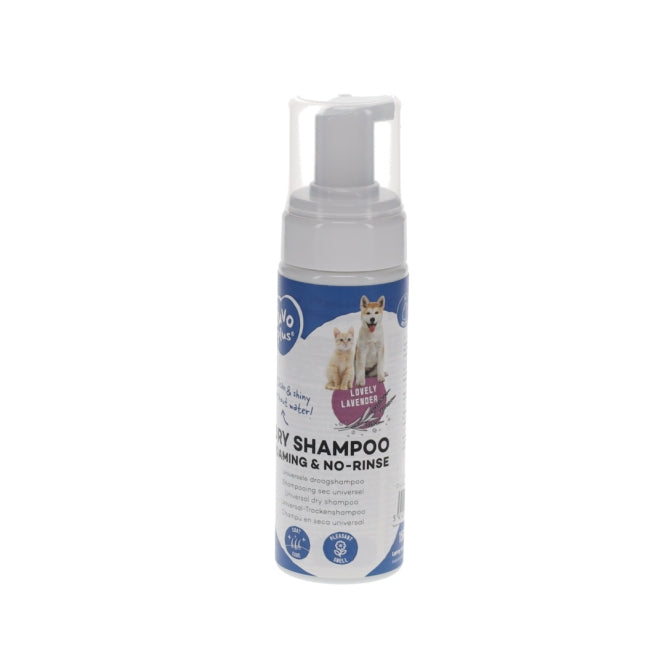 Duvoplus Trockenshampoo