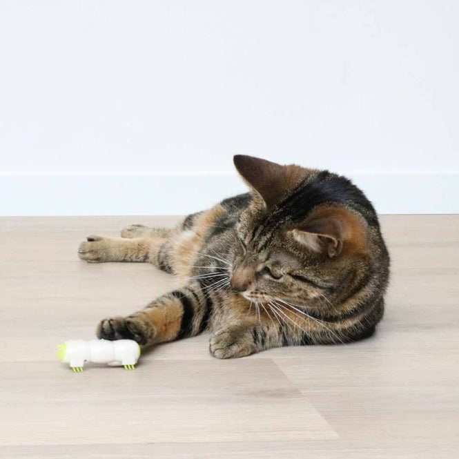 EBI Cat Toy Buzzing Caterpillar
