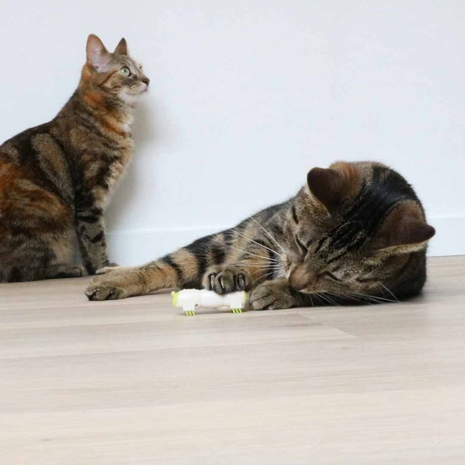 EBI Cat Toy Buzzing Caterpillar