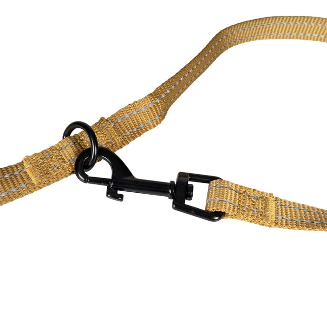 Duvoplus Trainingsleine EXPLOR Ultimate Fit Classic – Honiggold