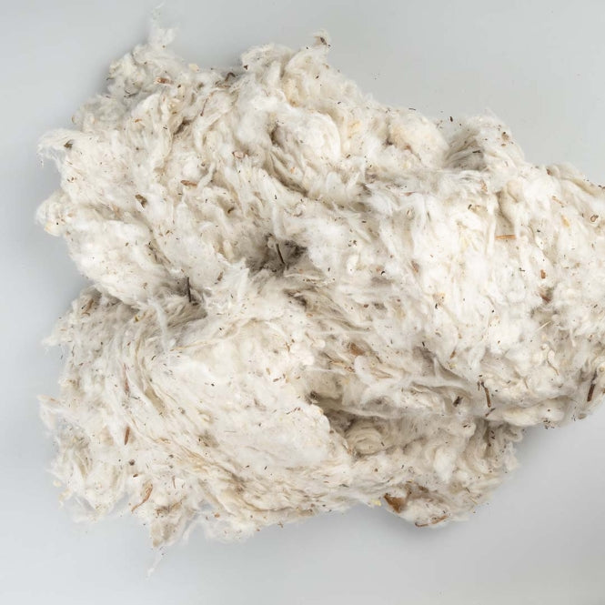Nistmaterial – Baumwolltraum
