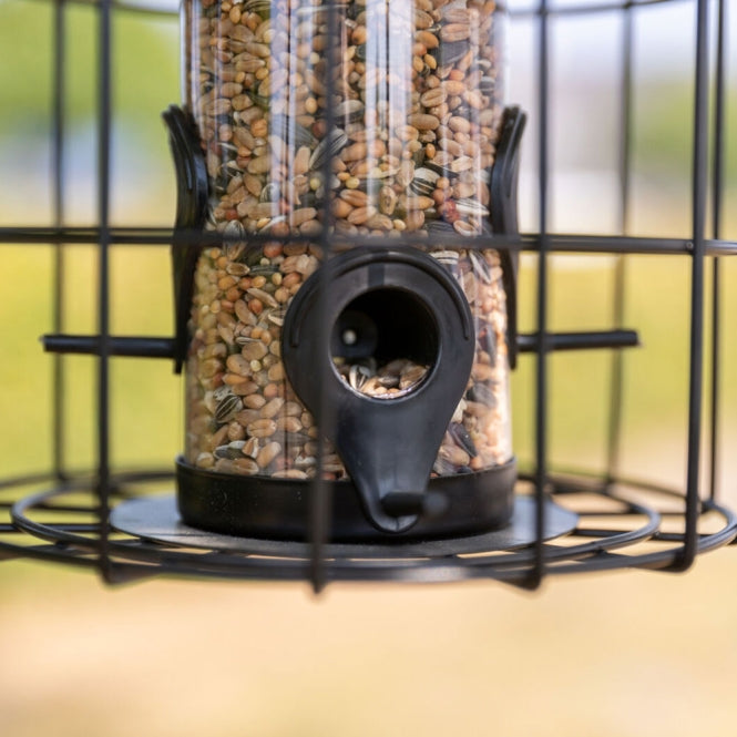 Futterspender mit Schutzgitter