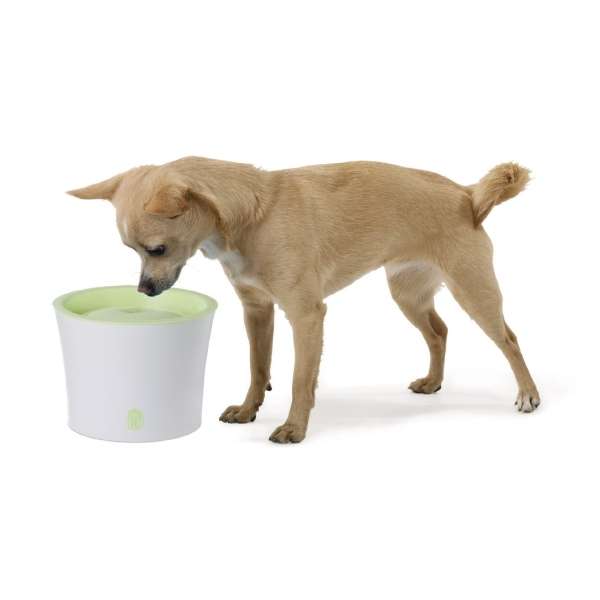 CATIT Fresh + Clear Trinkbrunnen