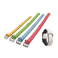 Karlie Halsband 5 Collar