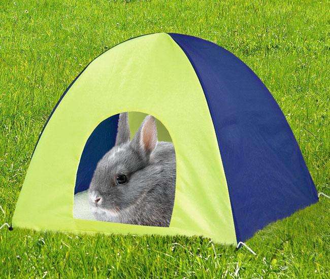 Rody Camp In- und Outdoor Zelt