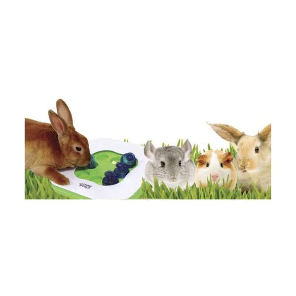 Hagen Living World Teach'N Treat - Interaktives Spielzeug für Kleintiere