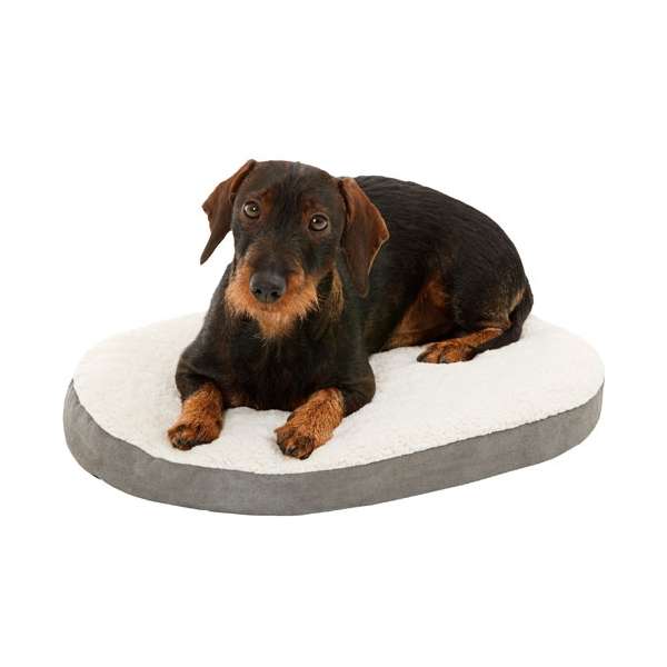 Karlie Ortho Bed Oval