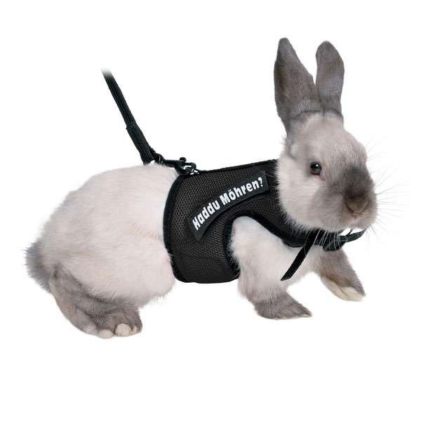 XBunny Garnitur für Kaninchen
