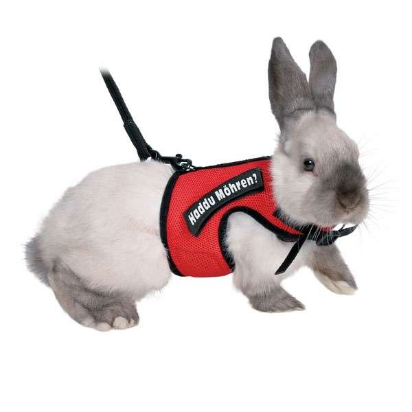 XBunny Garnitur für Kaninchen