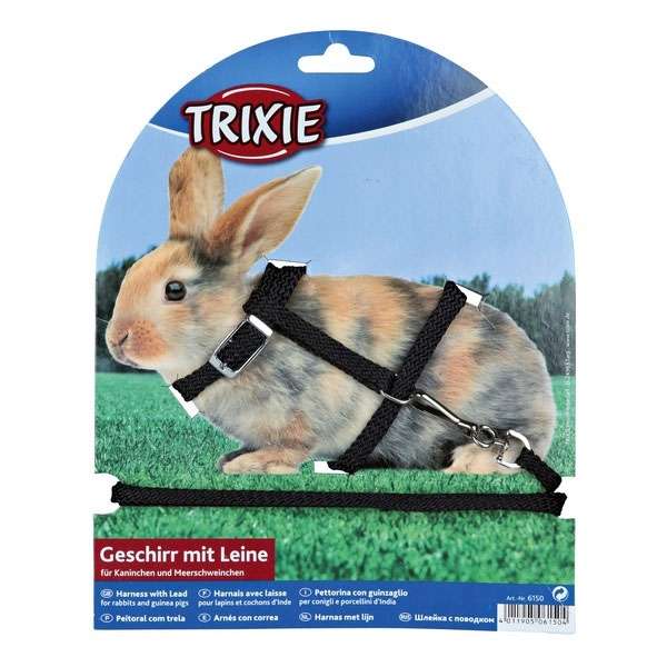 Kleintier Garnitur mit Leine