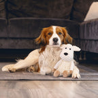 Beeztees Eco Hund Onne