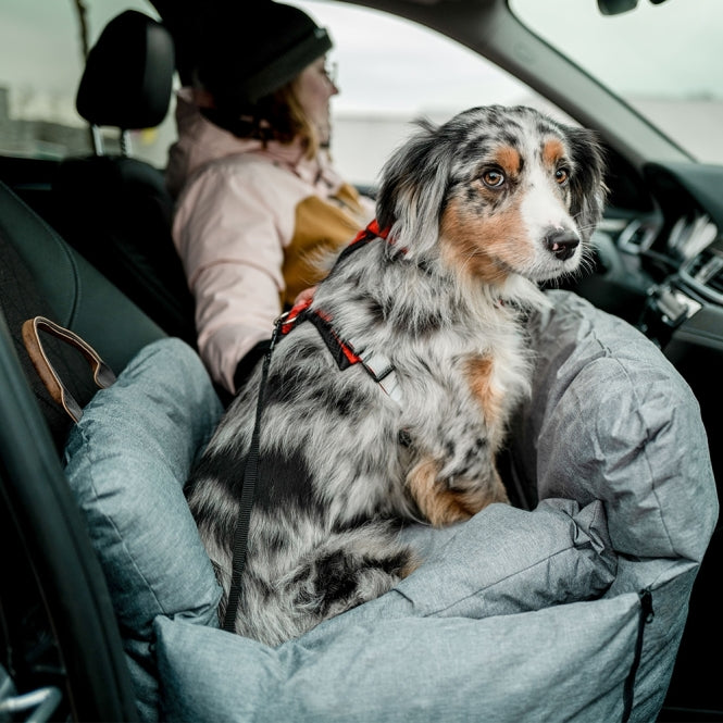 Nobby Autositz / Reisebett Bena