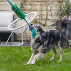 Beeztees Hundespielzeug Kino + Ball