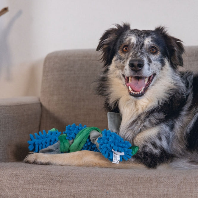 Beeztees Hundespielzeug Nuno