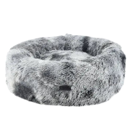 Nobby Donutbett Coda