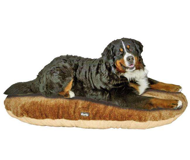 Karlie QUEENY TEDDY Liegekissen - Oval