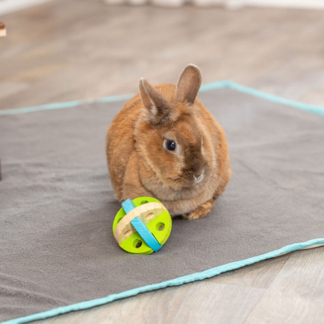 Trixie Spiel und Snackball aus Holz
